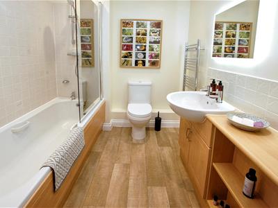 Picture 12